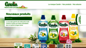 What Carolin.com website looked like in 2020 (4 years ago)