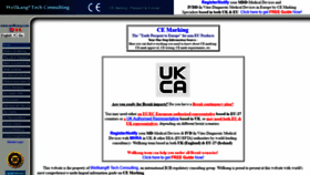 What Ce-marking.org website looked like in 2020 (4 years ago)
