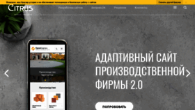 What Citrus-soft.ru website looked like in 2020 (5 years ago)