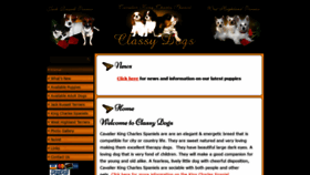 What Classydogs.com website looked like in 2020 (4 years ago)