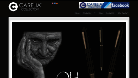 What Carelia-pen.com website looked like in 2020 (4 years ago)