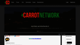 What Carrotnetwork.nl website looked like in 2020 (4 years ago)