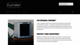 What Curidor.com website looked like in 2020 (6 years ago)