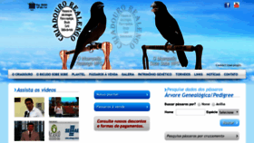 What Criadourorealengo.com.br website looked like in 2020 (4 years ago)