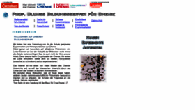 What Chemieunterricht.de website looked like in 2020 (4 years ago)