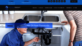 What Cayyolutesisat.net website looked like in 2020 (6 years ago)