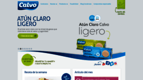 What Calvo.es website looked like in 2020 (4 years ago)