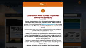 What Consolidatedwater.com website looked like in 2020 (4 years ago)