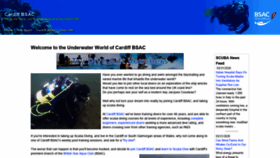 What Cardiffbsac.org website looked like in 2020 (4 years ago)