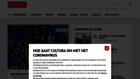 What Cultura-ede.nl website looked like in 2020 (4 years ago)