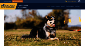 What Capitaldistrictdogguard.com website looked like in 2020 (4 years ago)