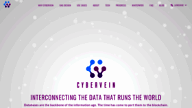 What Cybervein.org website looked like in 2020 (4 years ago)