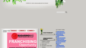 What Cxemok.net website looked like in 2020 (6 years ago)