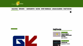 What Cepinonline.com website looked like in 2020 (4 years ago)