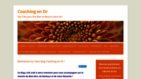What Coaching-en-or.com website looked like in 2020 (4 years ago)