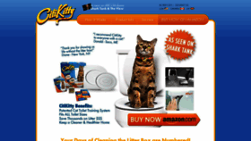 What Citikitty.com website looked like in 2020 (4 years ago)