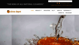 What Citrusdepot.net website looked like in 2020 (5 years ago)