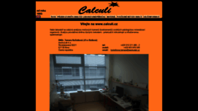 What Calculi.cz website looked like in 2020 (4 years ago)