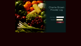 What Cbfoodprogram.com website looked like in 2020 (4 years ago)