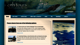 What Cnhtours.com website looked like in 2020 (4 years ago)
