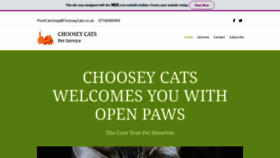What Chooseycats.co.uk website looked like in 2020 (3 years ago)