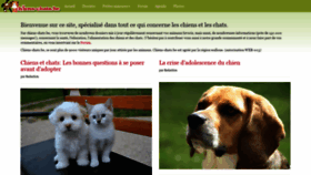 What Chiens-chats.be website looked like in 2020 (3 years ago)