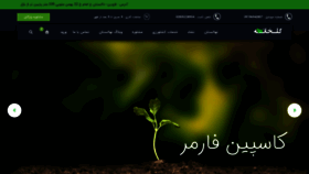 What Caspianfarmer.com website looked like in 2020 (4 years ago)