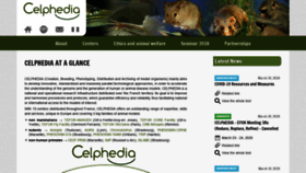 What Celphedia.eu website looked like in 2020 (3 years ago)