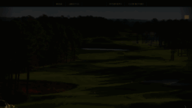 What Ceogolf.com website looked like in 2020 (3 years ago)
