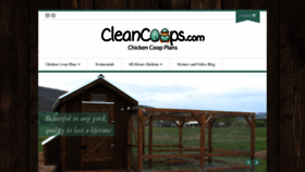 What Cleancoops.com website looked like in 2020 (3 years ago)