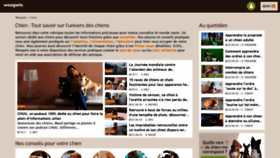 What Chien.fr website looked like in 2020 (3 years ago)