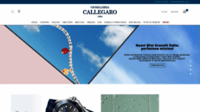 What Callegaro.com website looked like in 2020 (3 years ago)