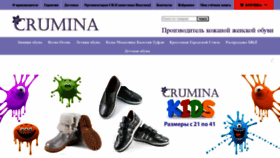 What Crumina.ua website looked like in 2020 (3 years ago)