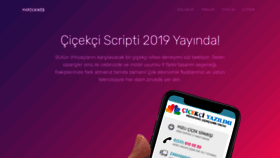 What Cicek-scripti.com website looked like in 2020 (3 years ago)