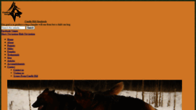 What Candlehillshepherds.com website looked like in 2020 (3 years ago)