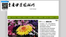 What Cqla.cn website looked like in 2020 (3 years ago)