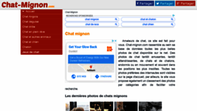 What Chat-mignon.com website looked like in 2020 (3 years ago)