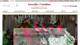 What Caladiumbulbs.com website looked like in 2020 (3 years ago)