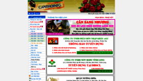 What Canthoinfo.com.vn website looked like in 2020 (3 years ago)