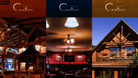 What Cactus.sk website looked like in 2020 (4 years ago)