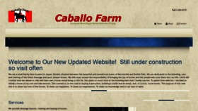 What Caballofarm.com website looked like in 2020 (3 years ago)