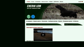 What Cherni-lom.com website looked like in 2020 (3 years ago)