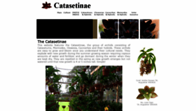 What Catasetinae.com website looked like in 2020 (3 years ago)