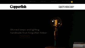 What Copperfish.ie website looked like in 2020 (3 years ago)