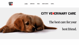 What Cityvetcare.com website looked like in 2020 (3 years ago)
