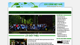 What Caycanhvietnam.com website looked like in 2020 (3 years ago)