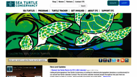 What Conserveturtles.org website looked like in 2020 (3 years ago)