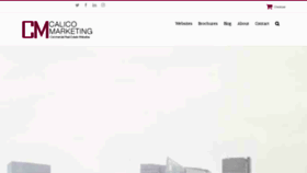 What Calicomarketing.com website looked like in 2020 (3 years ago)