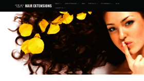 What Chicagohairextensionssalon.com website looked like in 2020 (3 years ago)