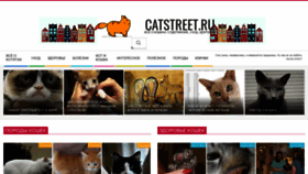 What Catstreet.ru website looked like in 2020 (3 years ago)